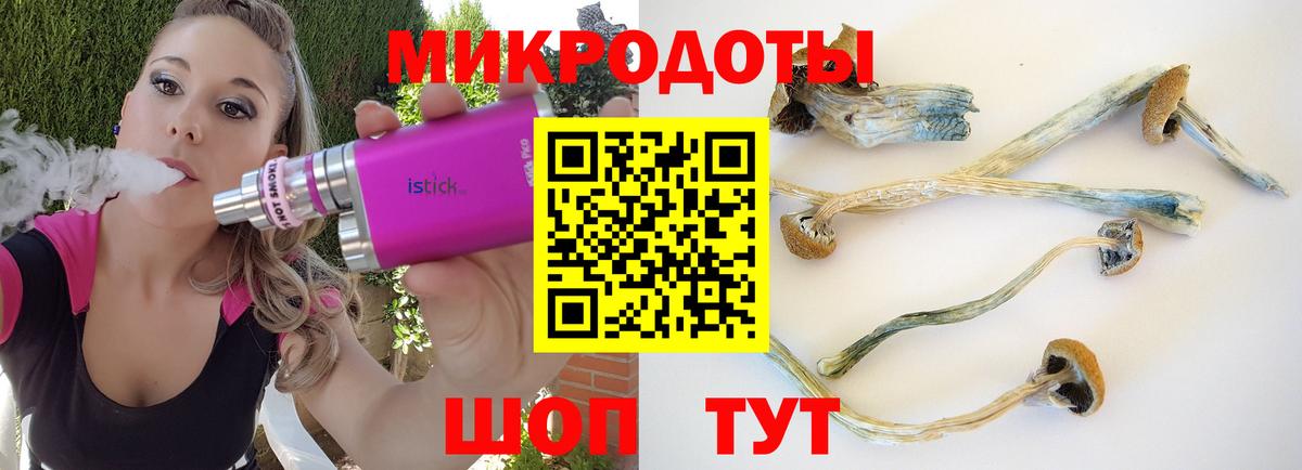 Галлюциногенные грибы Cubensis Наро-Фоминск