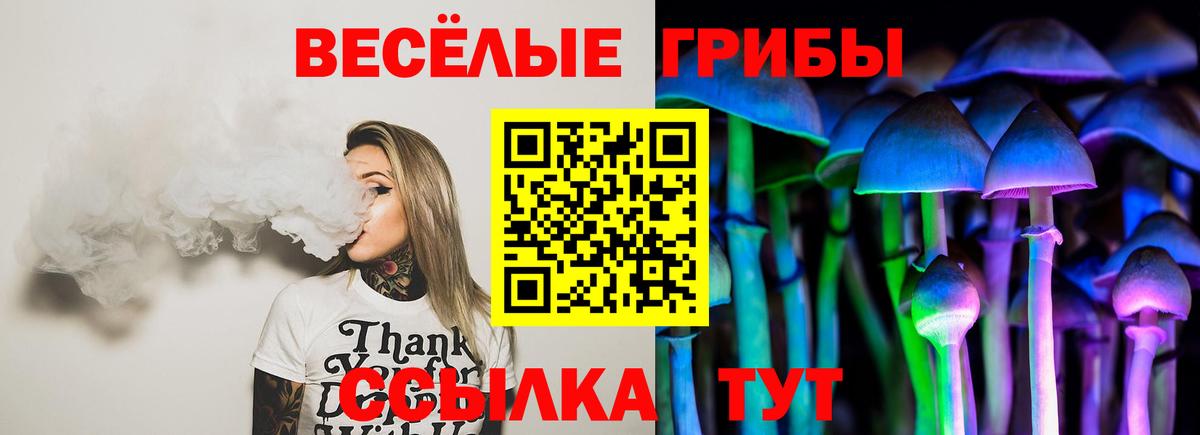 Псилоцибиновые грибы GOLDEN TEACHER  Вход с VPN  Наро-Фоминск 